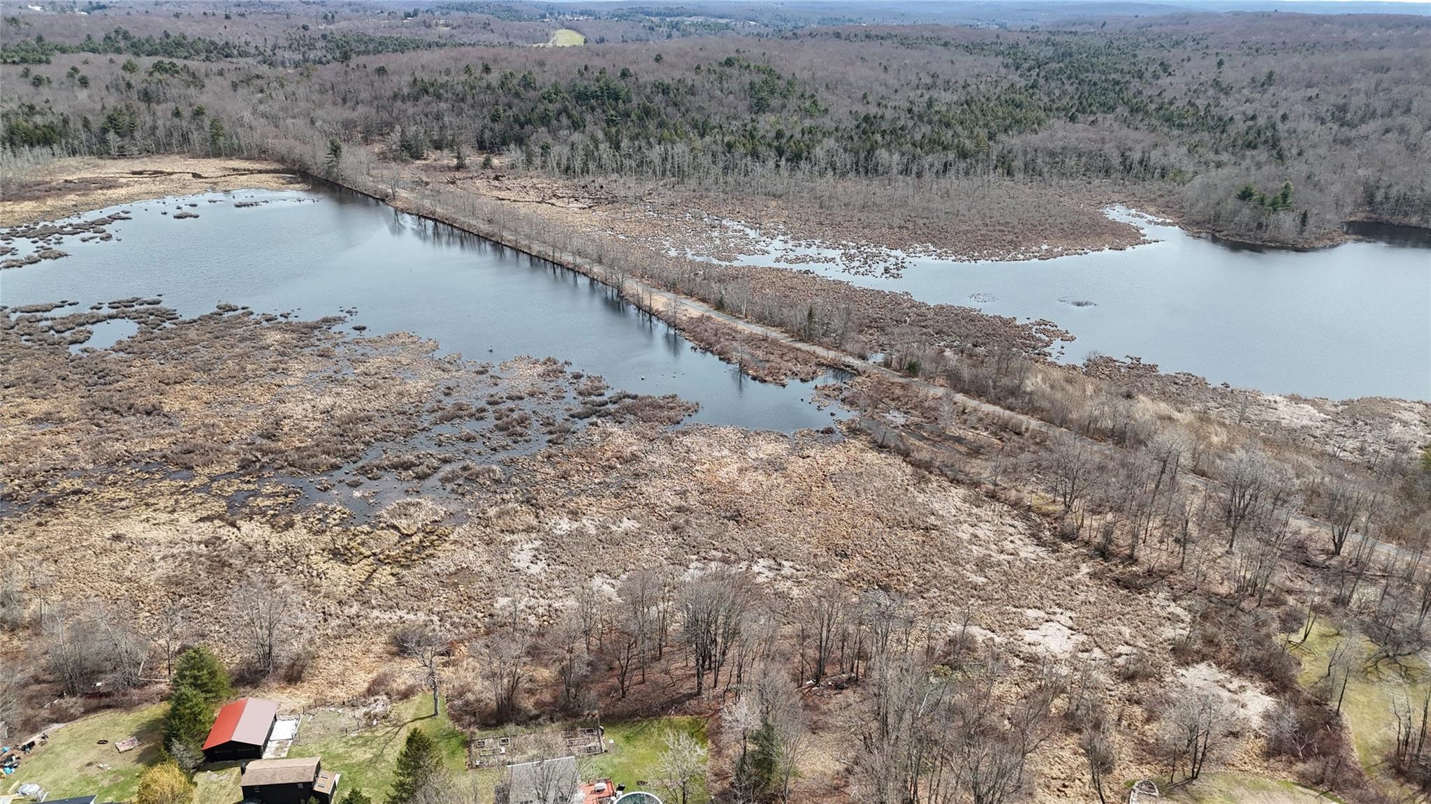 Birds eye view of property with a wooded view and a water view