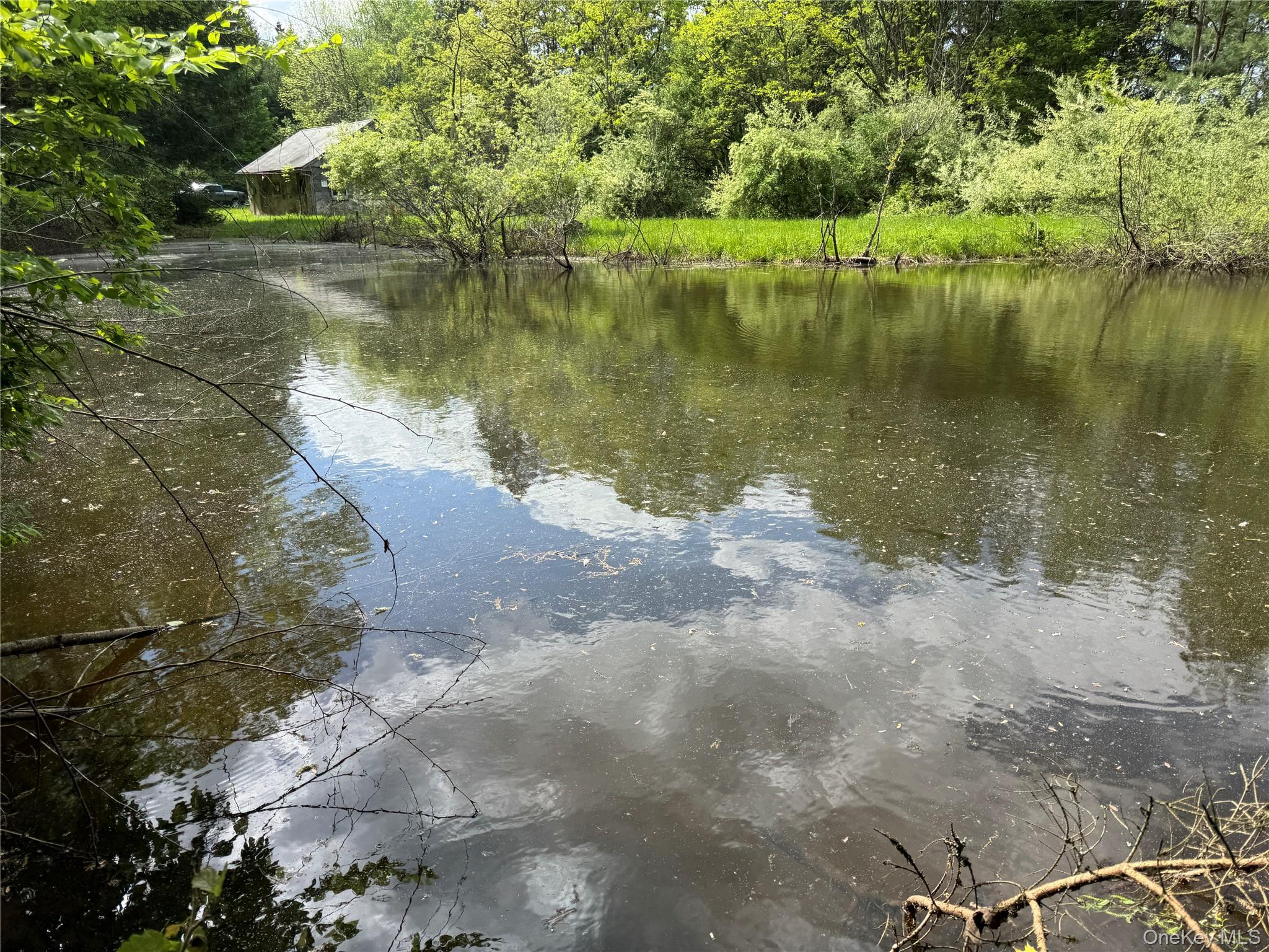 Water view featuring a forest