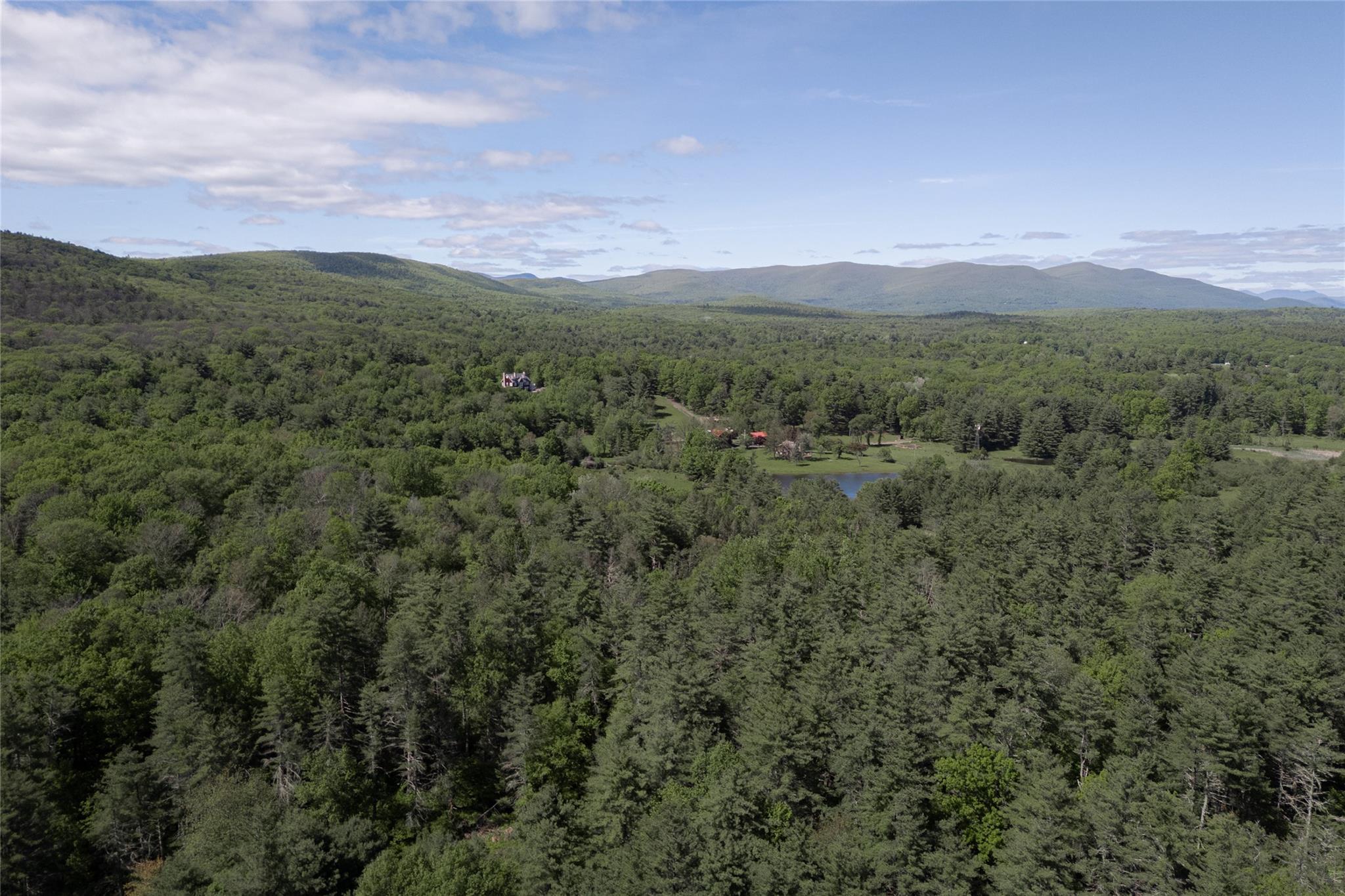 Mountain view featuring a forest and a large body of water