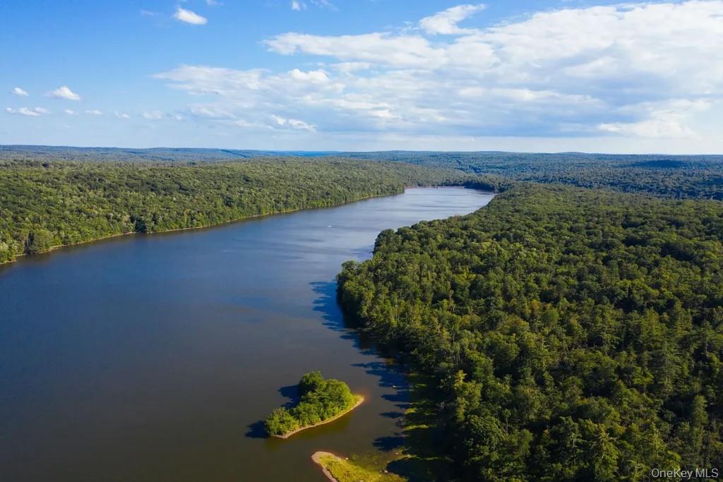 Aerial view of a heavily wooded area and a nearby body of water