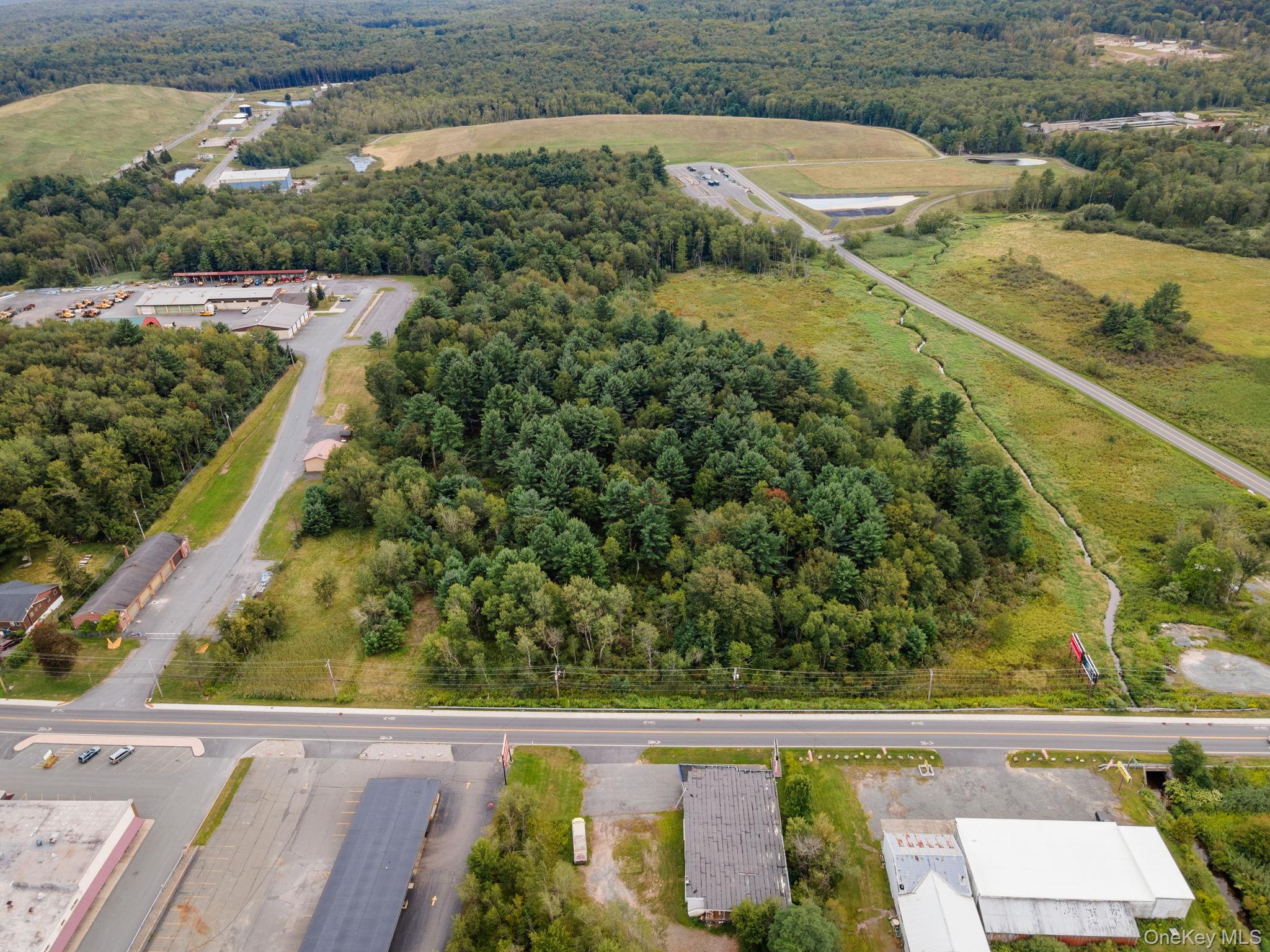 Drone / aerial view of a forest