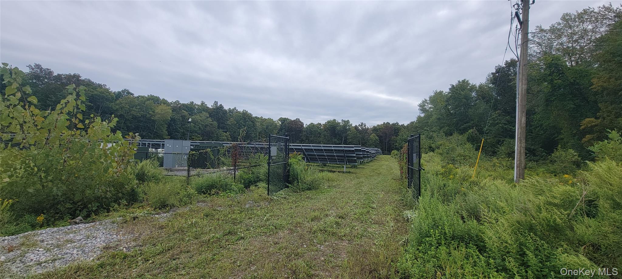 View of field