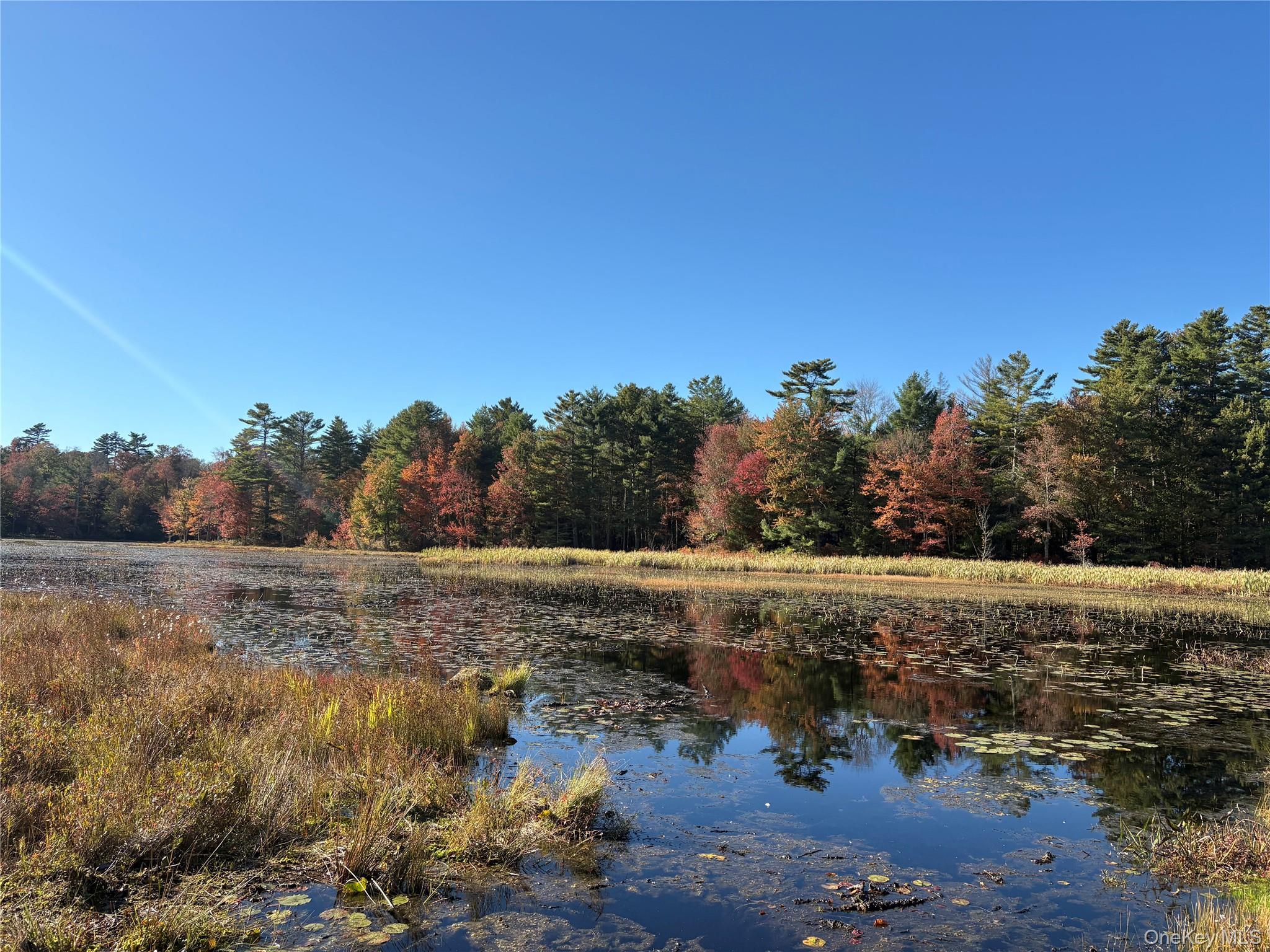 Water view with a heavily wooded area
