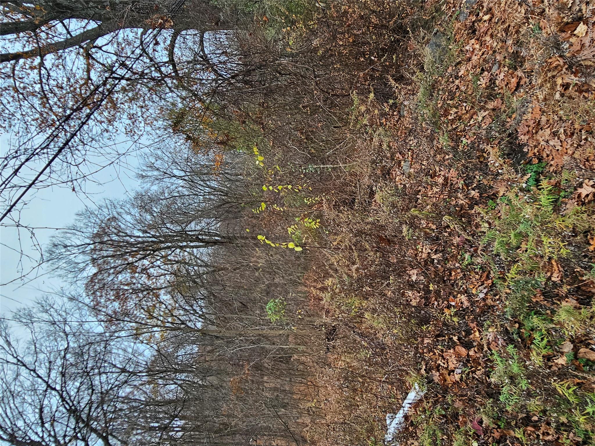 View of nature