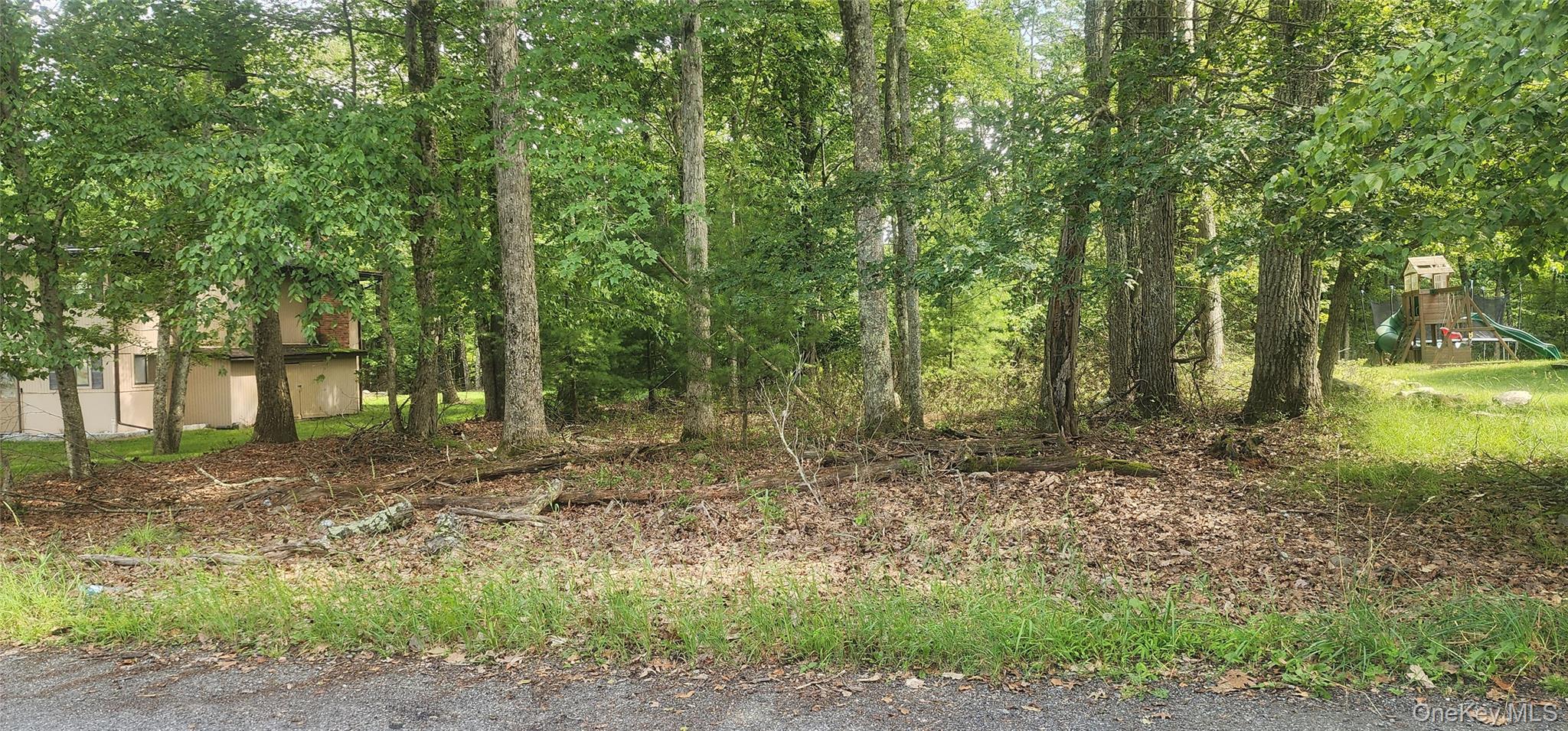View of undeveloped land