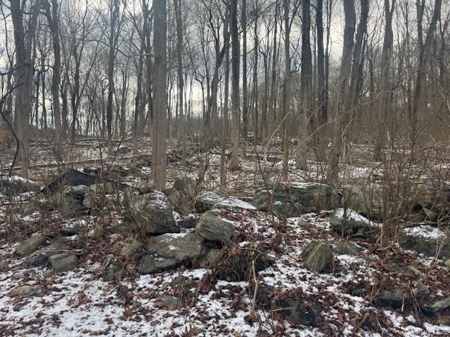 View of snow covered land