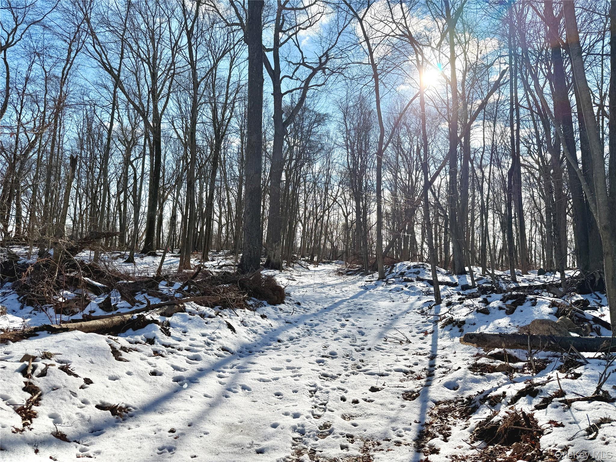 View of entrance into the Approved 7 Lot Subdivision