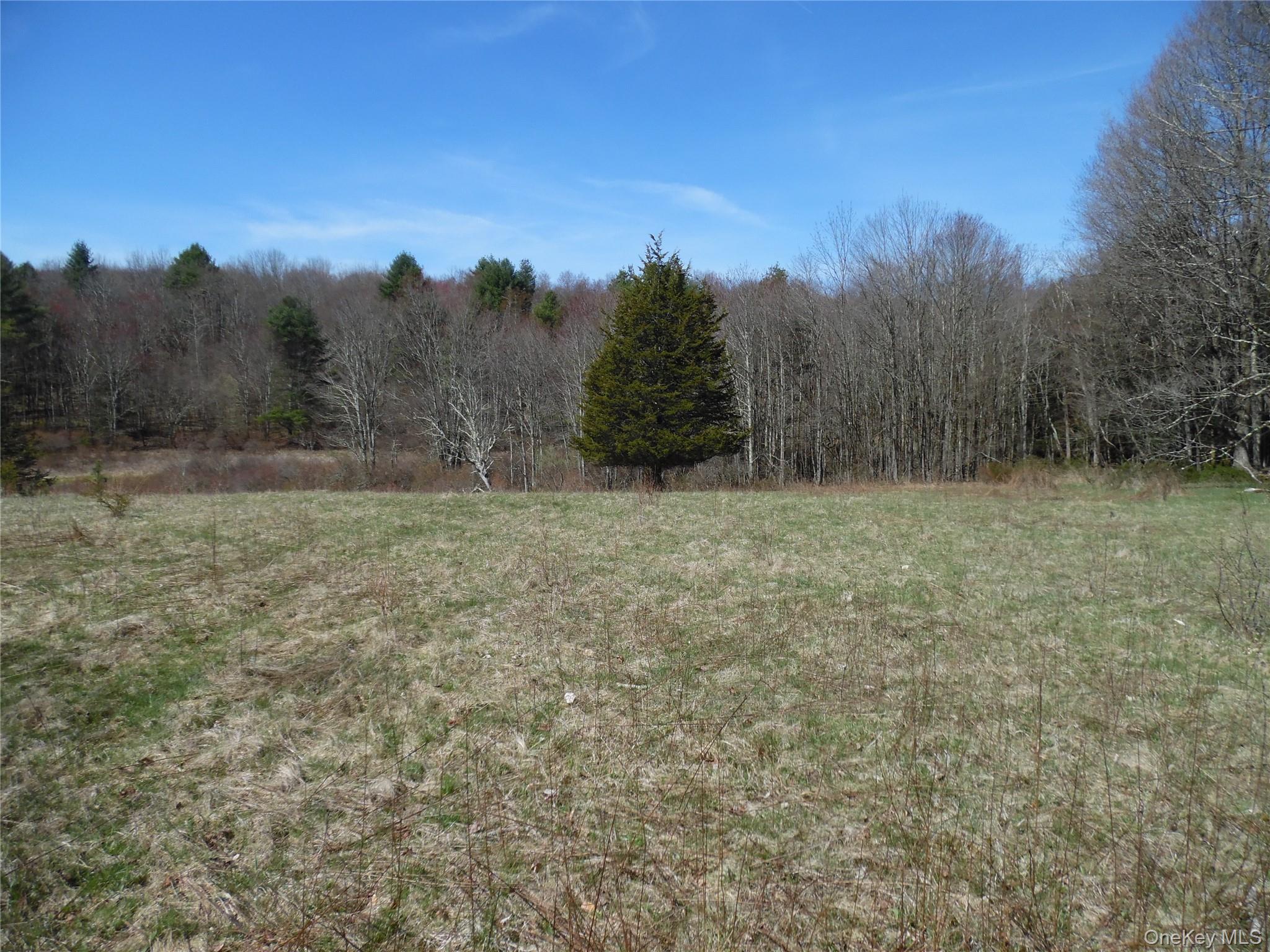 View of wooded area with a view of countryside