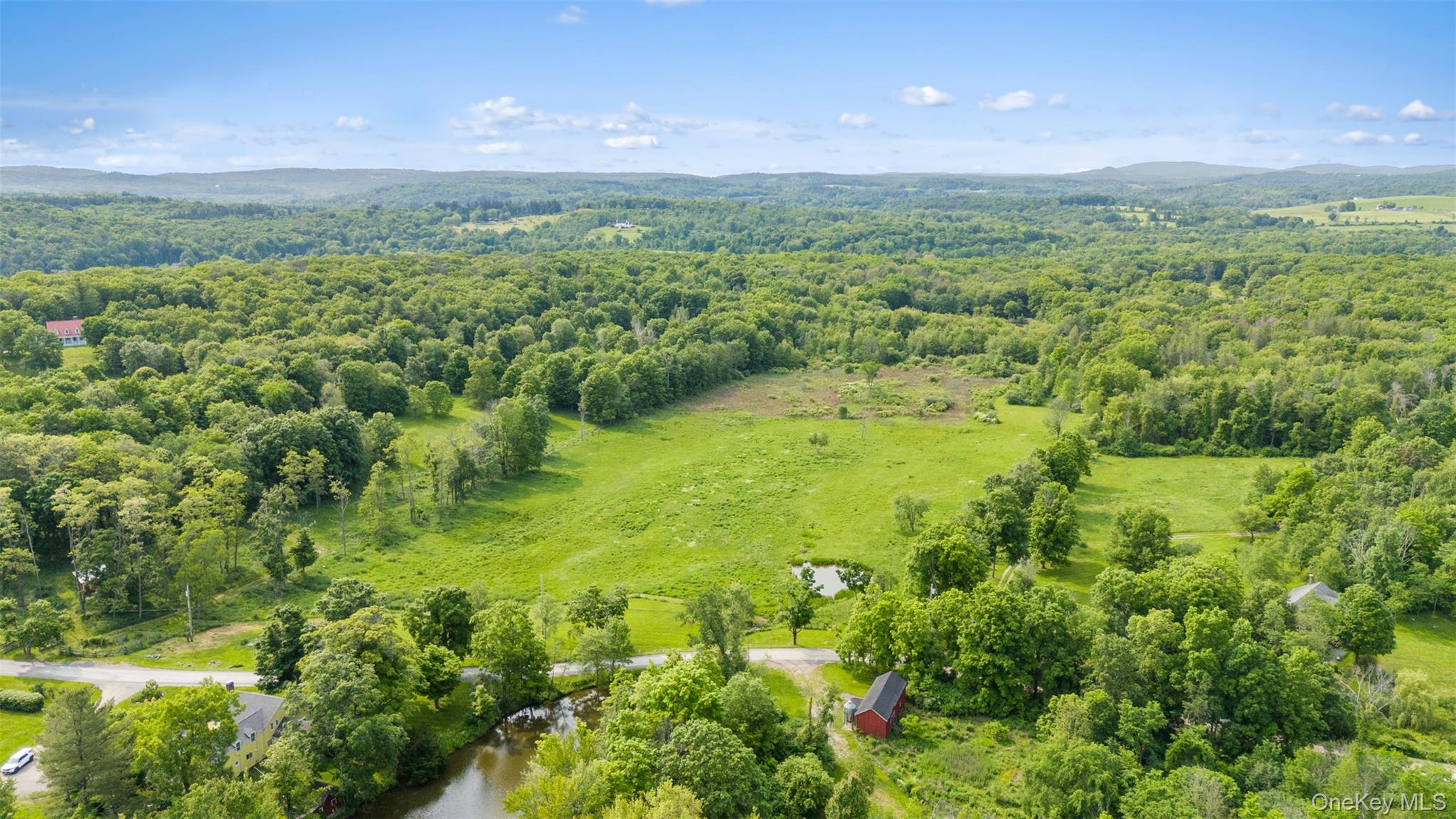 Bird's eye view of a forest