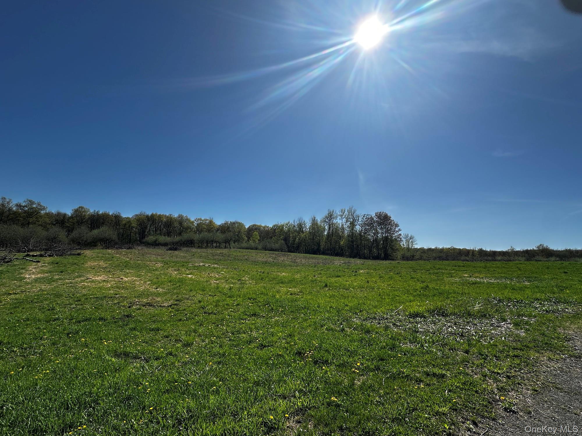 View of yard featuring a rural view