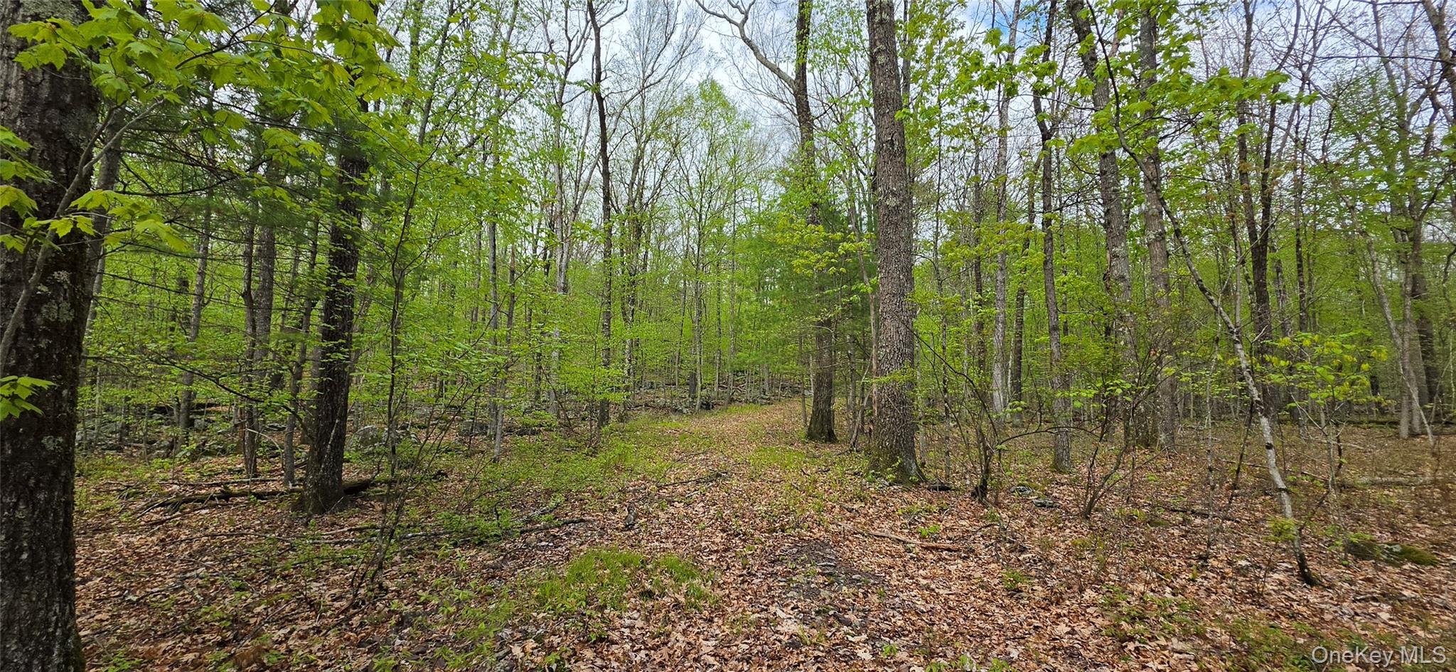 land with driveway