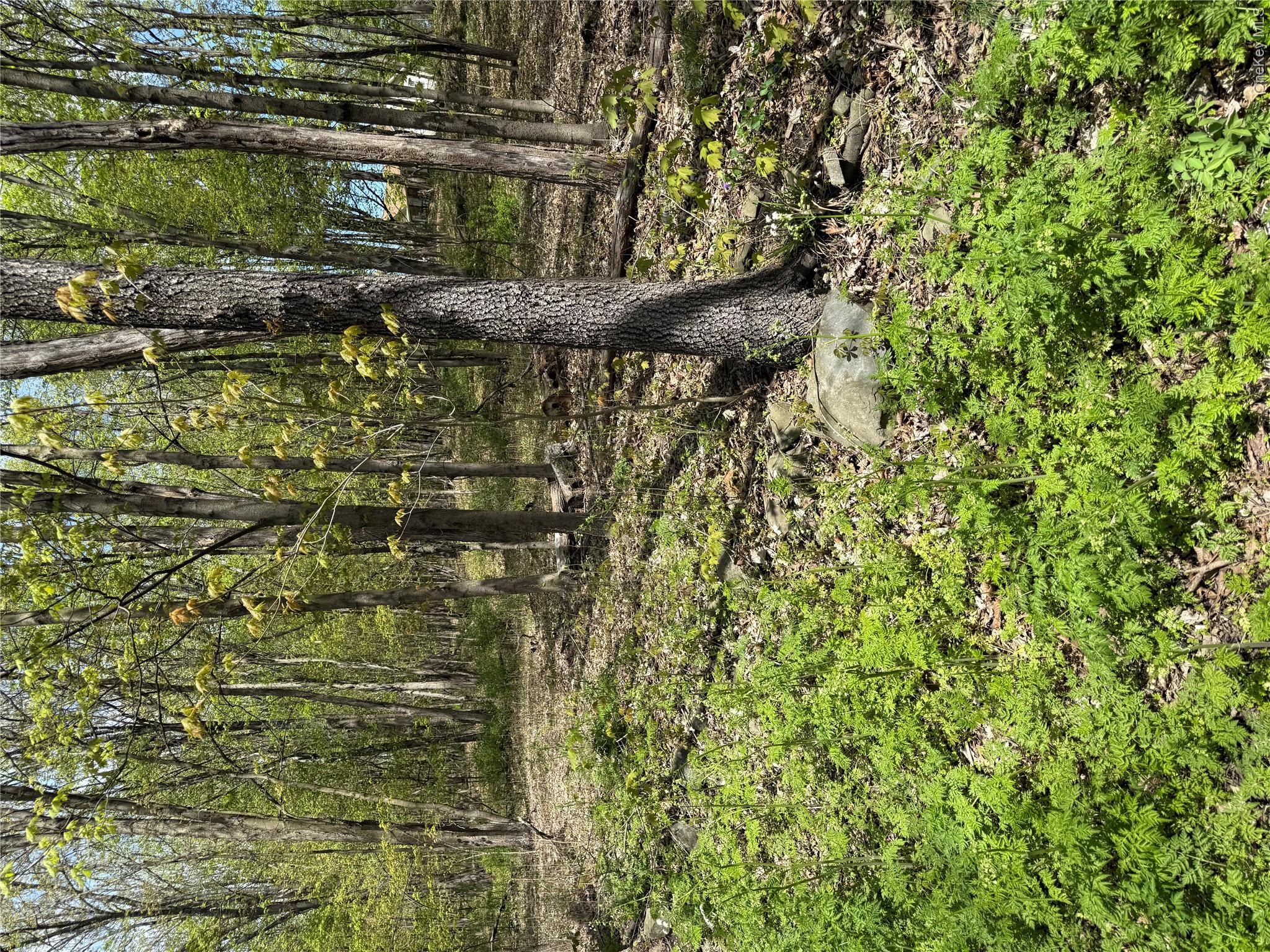 View of landscape featuring a forest view