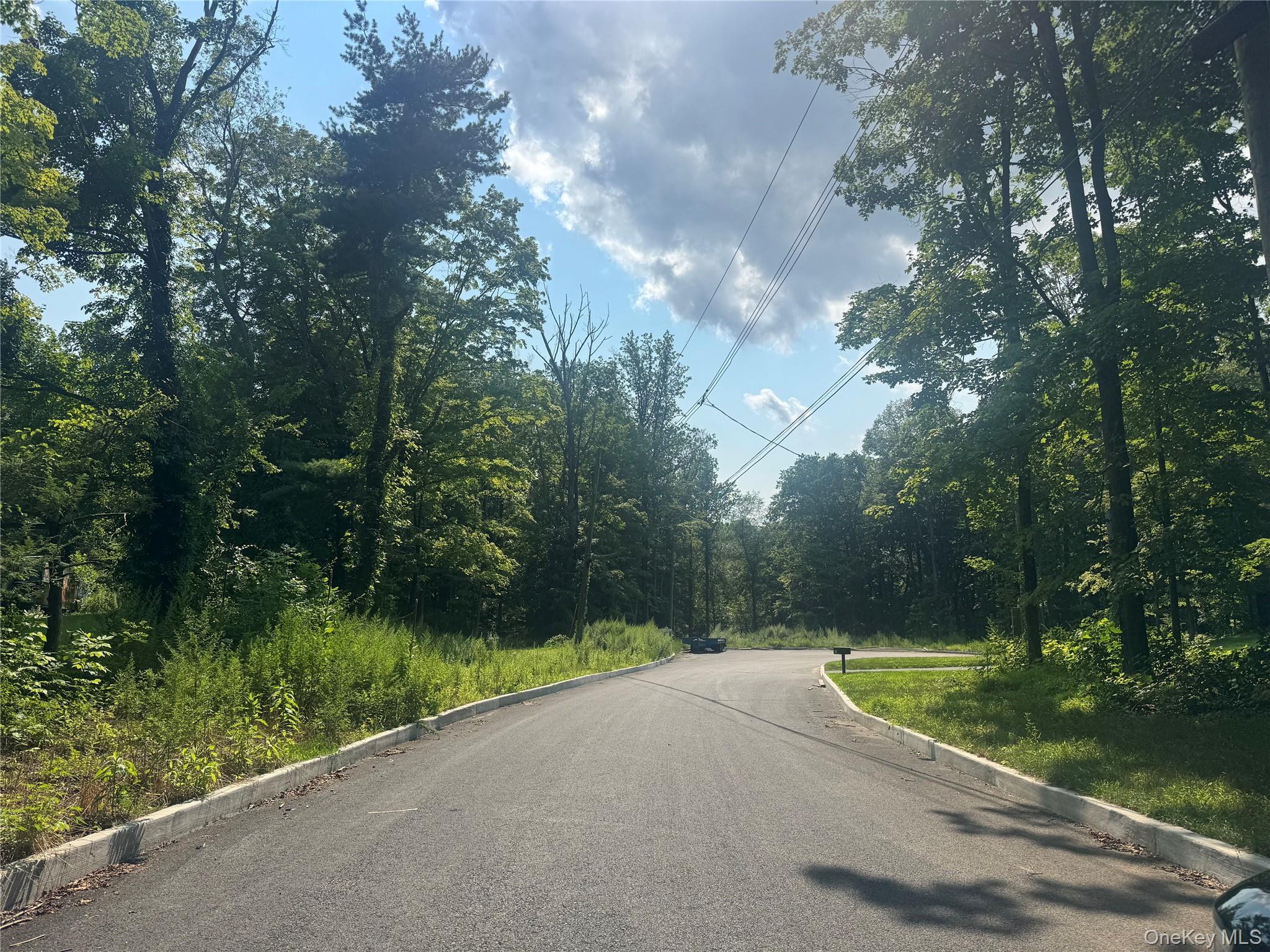 Welcome to 12 East Lane, Armonk. An exceptional 1.6-acre homesite offering Board of Health approval for a 5-bedroom residence and an approved pool site, ready for your vision.