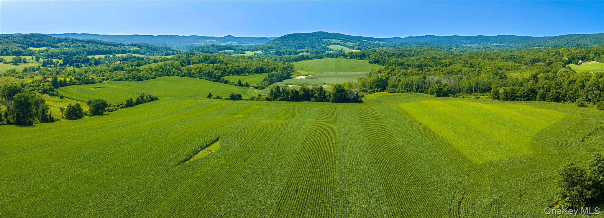 Bull Farm is an extraordinary 422.42-acre assemblage of farmland, woodlands, wetlands, and working agricultural property. The entire property seen from the north end, looking due south. Equestrian property and run-in sheds at upper right.
