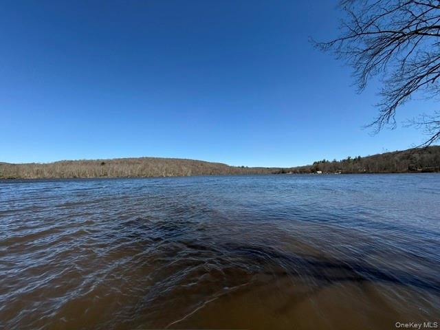 Lake Rights to Swan Lake