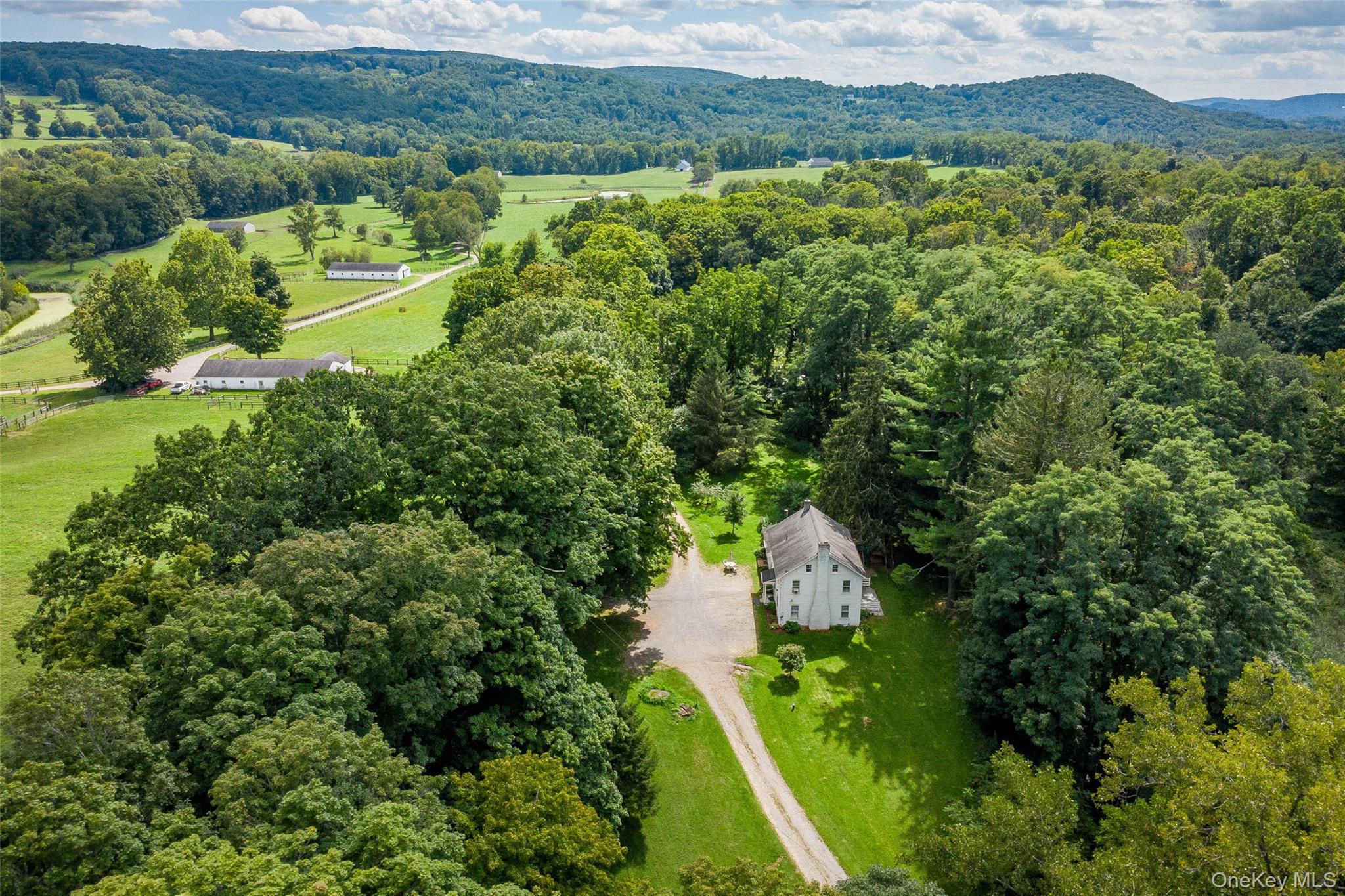 Adjacent to the Akindale Thoroughbred Rescue and Land Conservancy Fund